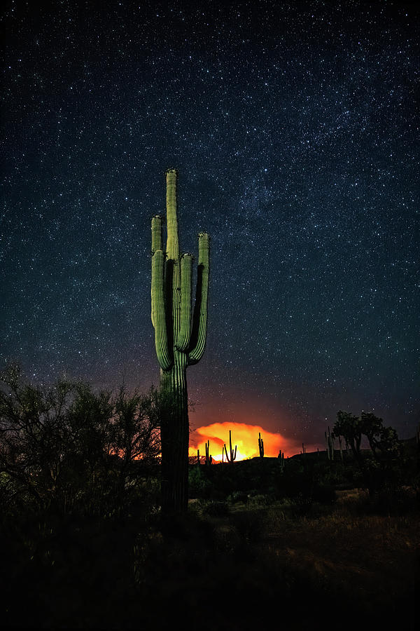 Desert Photograph - Fire Up The Night  by Saija Lehtonen
