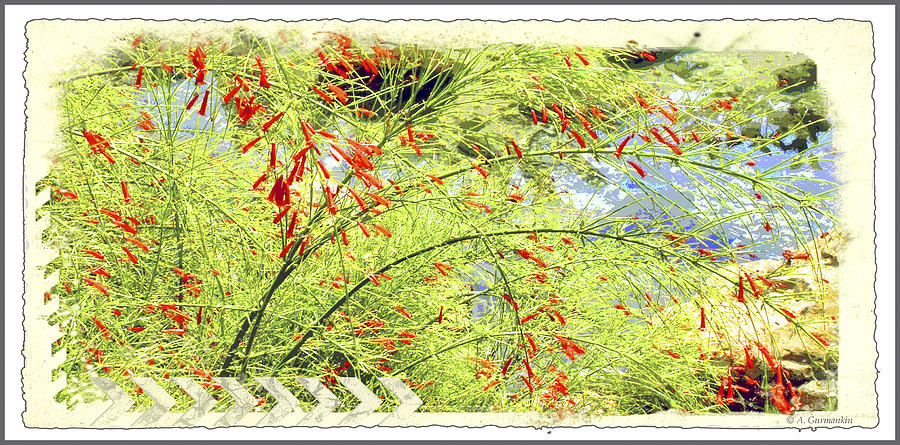 Firecracker Plant by a Brook Digital Art by A Macarthur Gurmankin