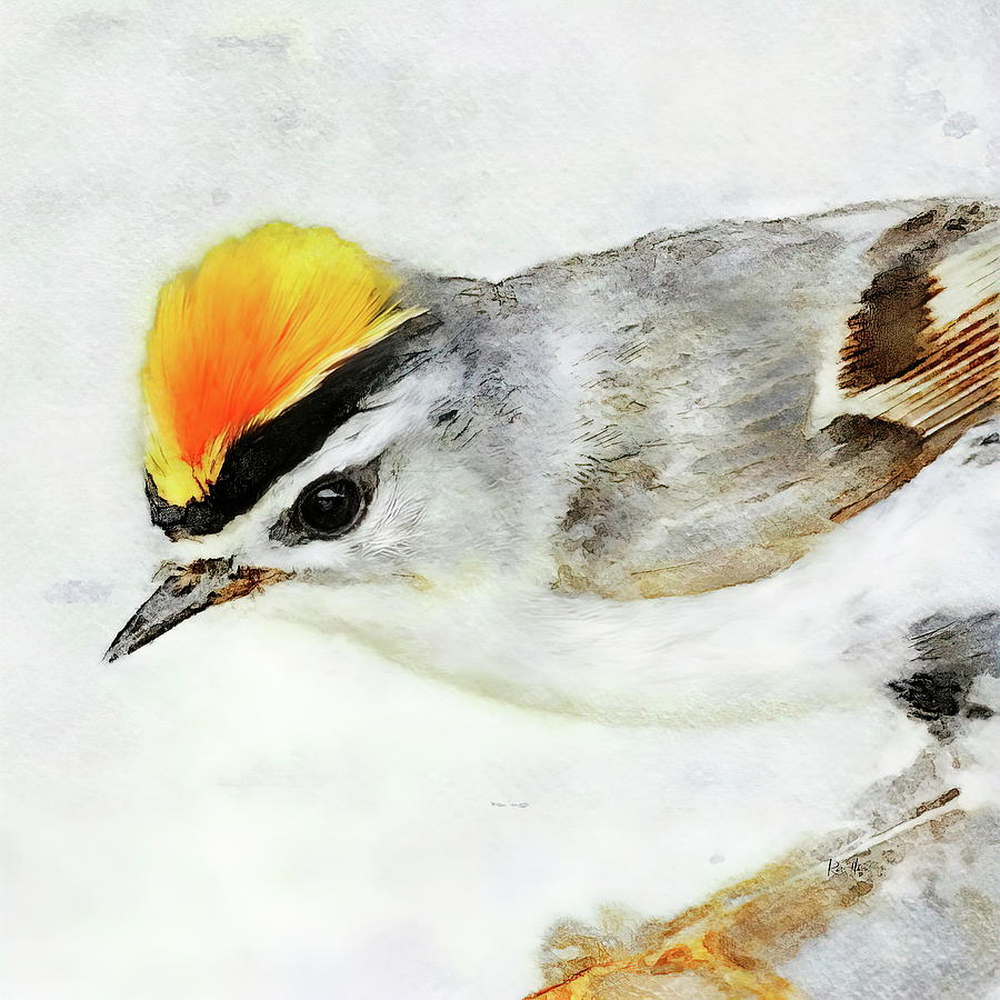 Firecrest Bird Painting