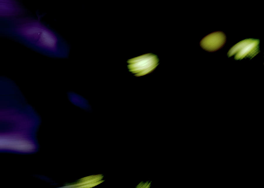 Fireflies Photograph by Al Fio Bonina