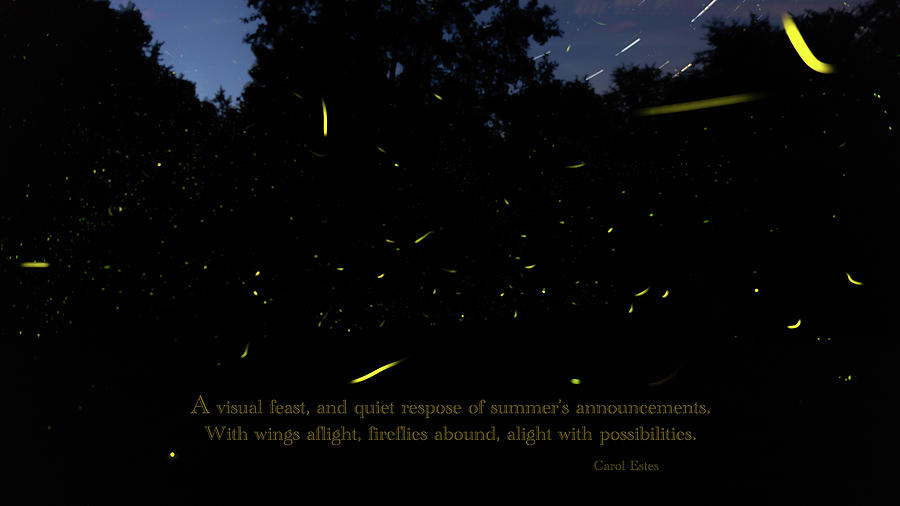 Fireflies and Prose V.1 Photograph by Carol Estes