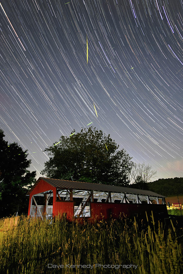 Fireflies And Star Trails Photograph