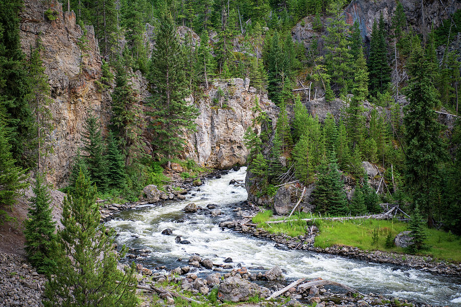 Firehole River and Canyon Photograph by Rose Guinther