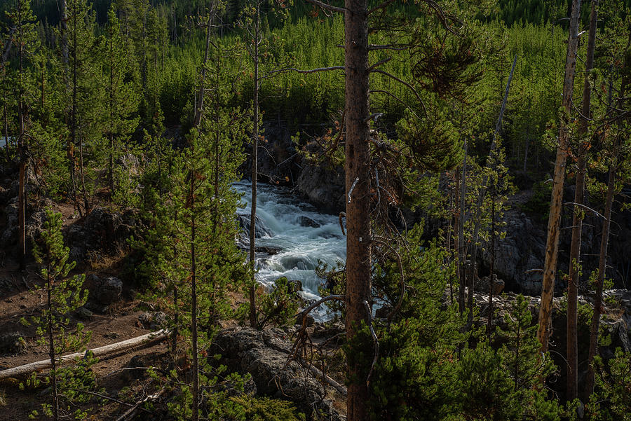 Firehole River Rapids Photograph by Yeates Photography