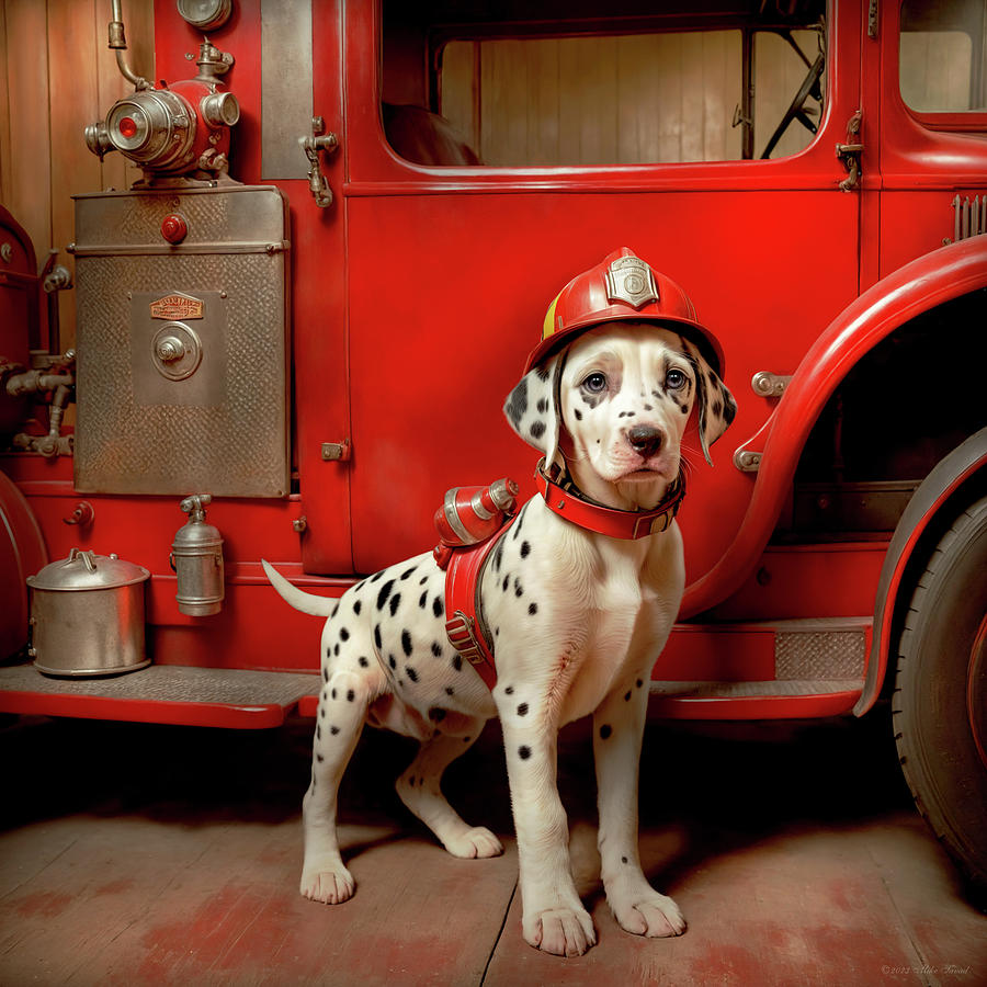 Fireman - Dog - A spot of bravery Photograph by Mike Savad