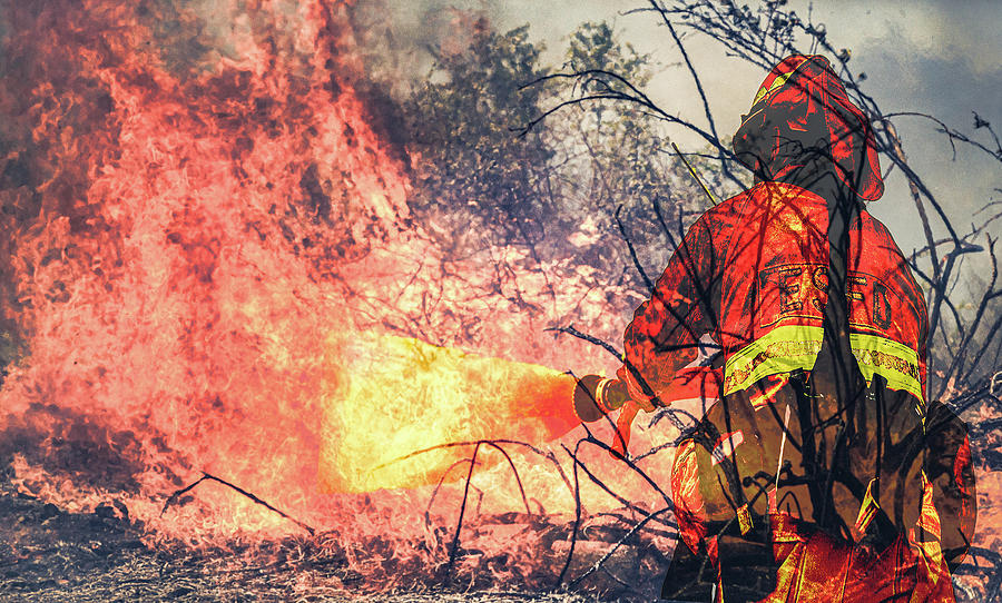 Fireman fighting brush fire Photograph by Al Ungar
