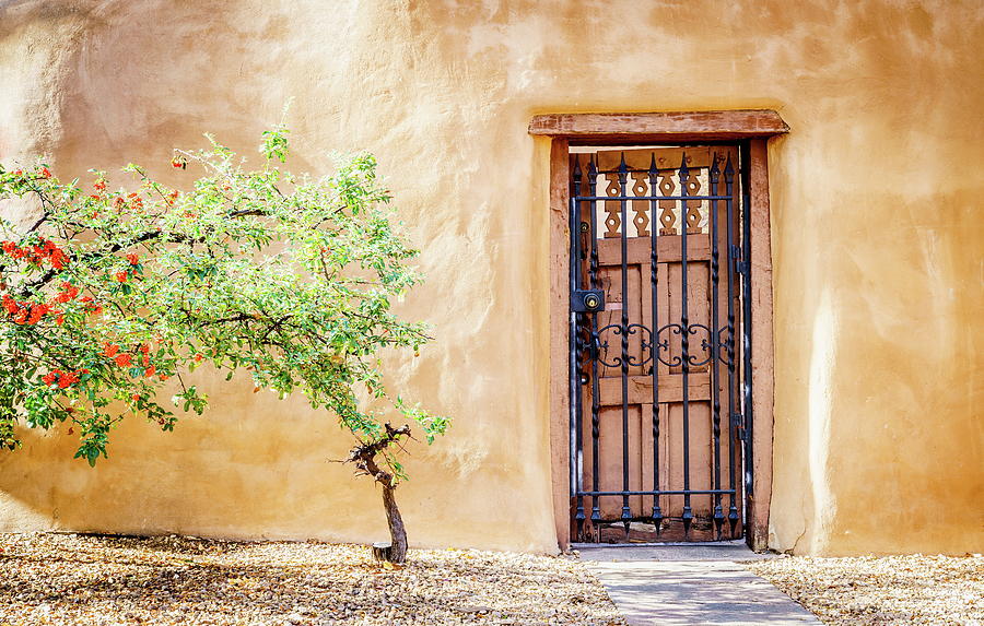 Firethorn tree and a door Photograph by Alexey Stiop