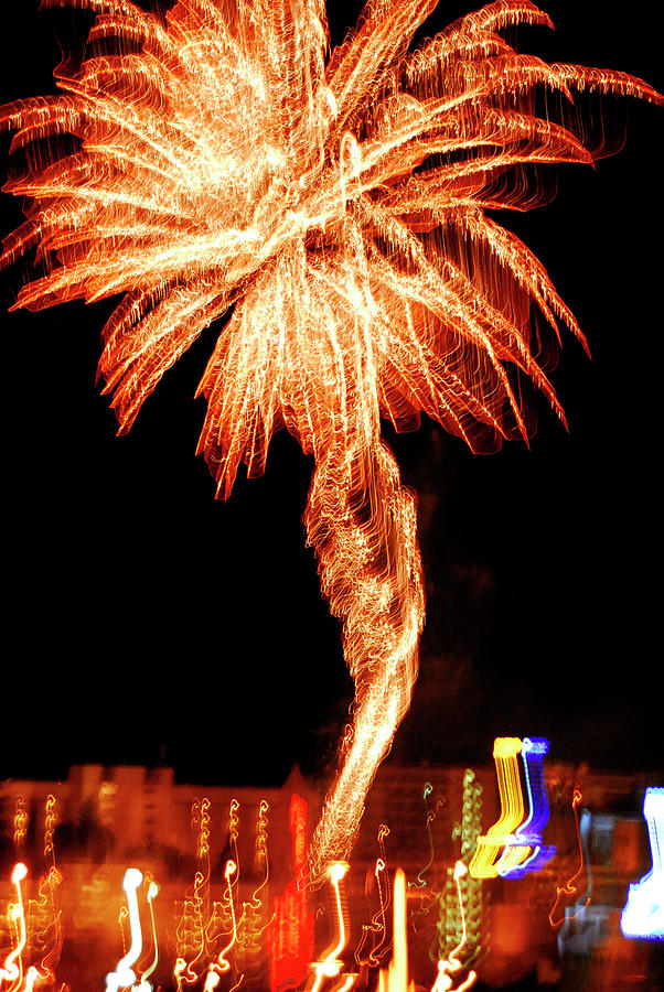 Firework palm Photograph by Severija Kirilovaite