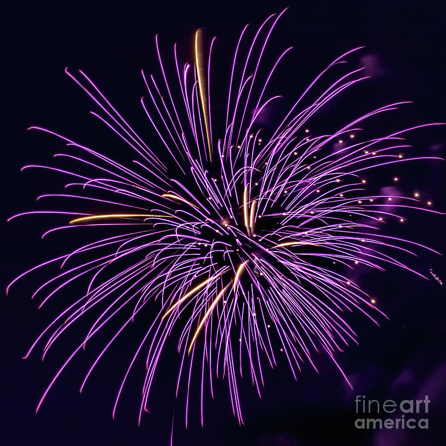 Fireworks 1 Photograph by Tom Watkins PVminer pixs