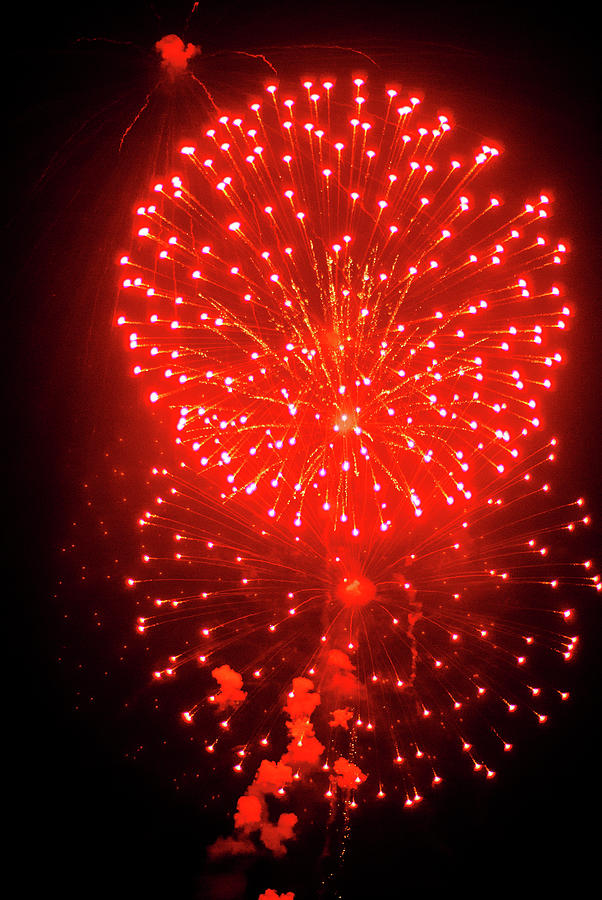 Fireworks 167 Photograph