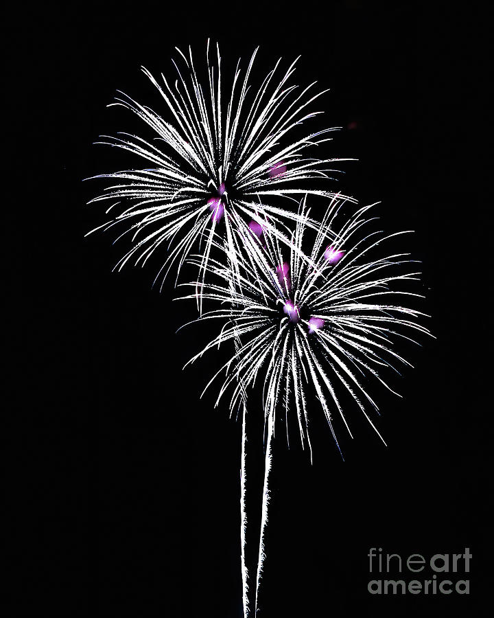 Fireworks 2 Photograph by Tom Watkins PVminer pixs