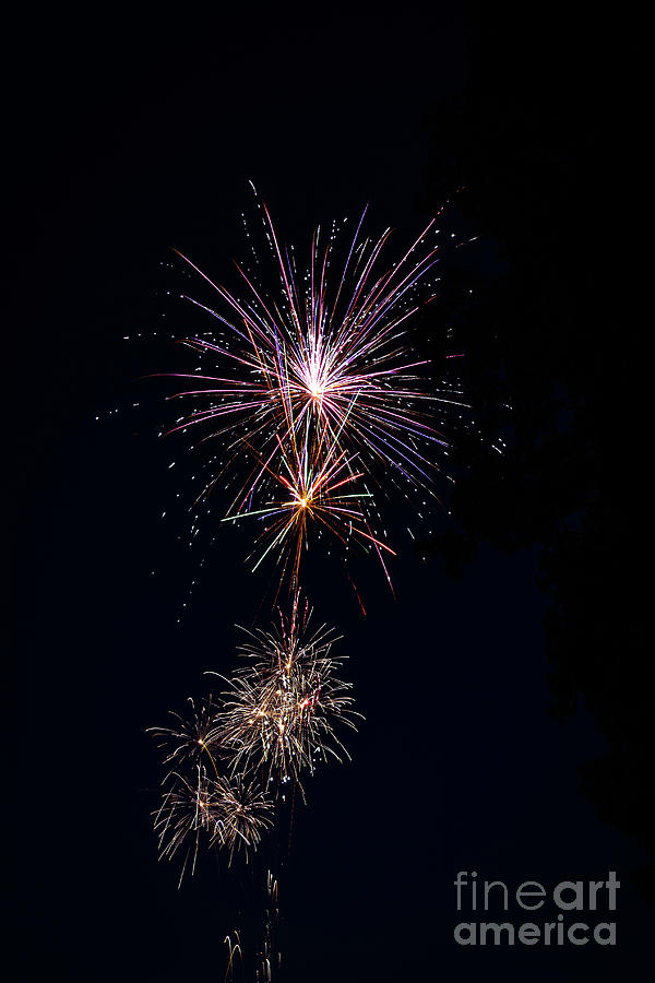 Fireworks 2020 - 16 Photograph by William Norton