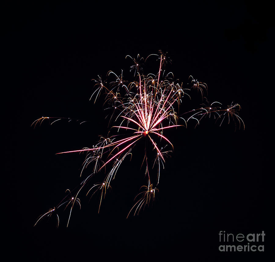 Fireworks 2020 -25 Photograph by William Norton