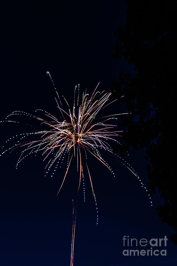 Fireworks 2020 -8 Photograph by William Norton