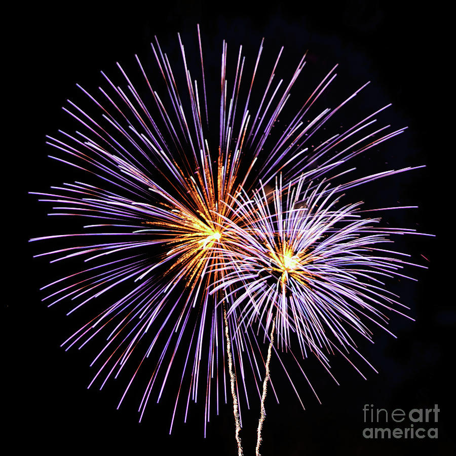Fireworks 3 Photograph by Tom Watkins PVminer pixs