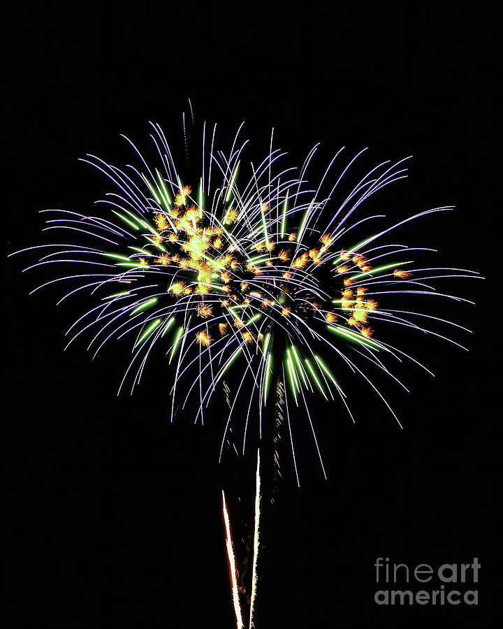 Fireworks 4 Photograph by Tom Watkins PVminer pixs