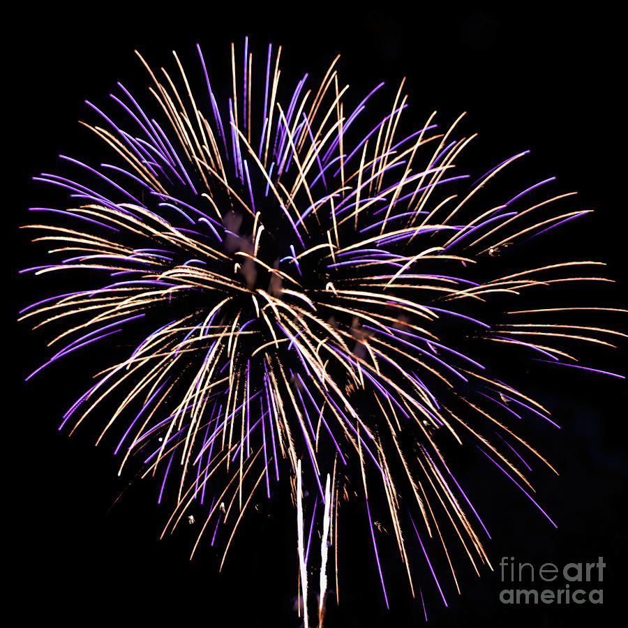 Fireworks 6 Photograph by Tom Watkins PVminer pixs