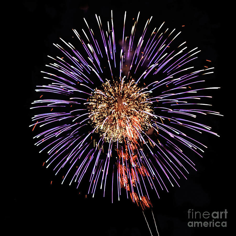 Fireworks 7 Photograph by Tom Watkins PVminer pixs