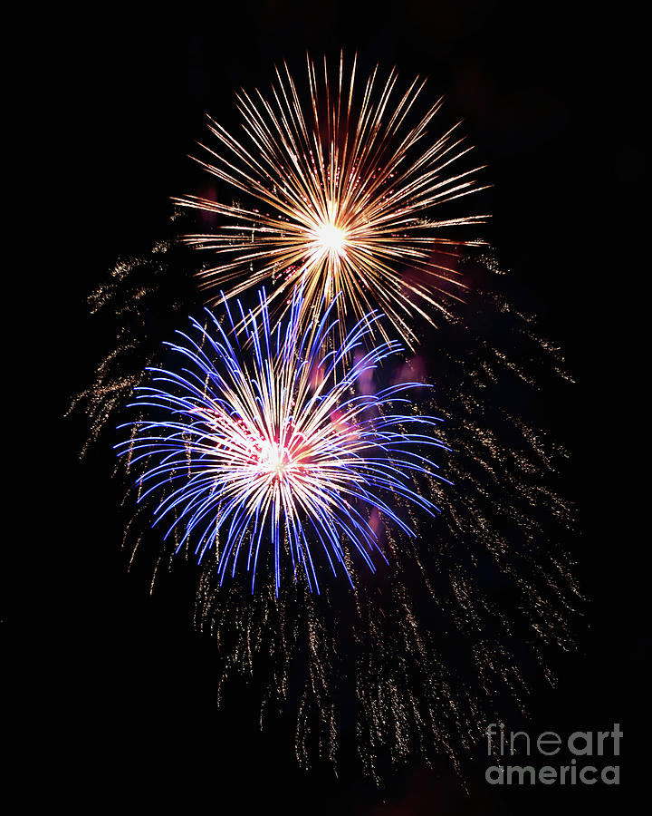 Fireworks 8 Photograph by Tom Watkins PVminer pixs