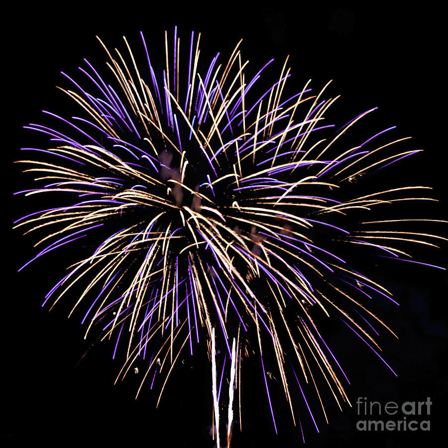 Fireworks 9 Photograph by Tom Watkins PVminer pixs