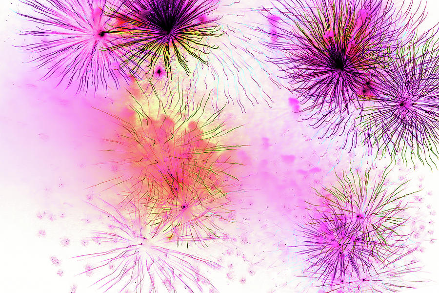 Fireworks Abstract 2023 2 0351 Photograph by Mary Bedy