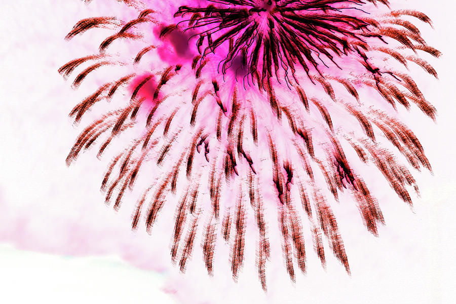 Fireworks Abstract 6836 Altered 070421 Photograph by Mary Bedy