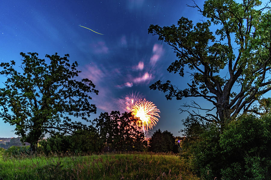 Fireworks Between The Oaks With Cameo By Mr. Firefly Photograph by Randy Scherkenbach