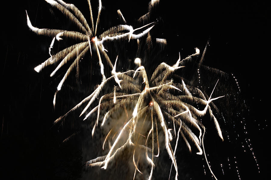 Fireworks Celebration Photograph by Amazing Action Photo Video