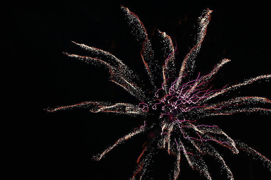 Fireworks Flower 6835 070421 Photograph by Mary Bedy