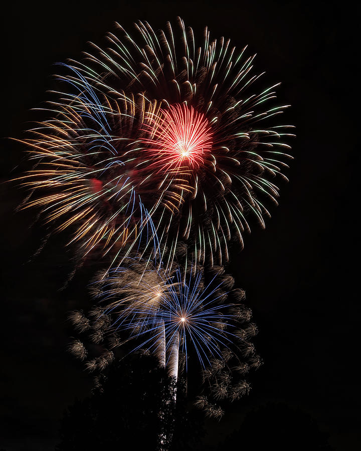 Fireworks Flowers Photograph by Fon Denton