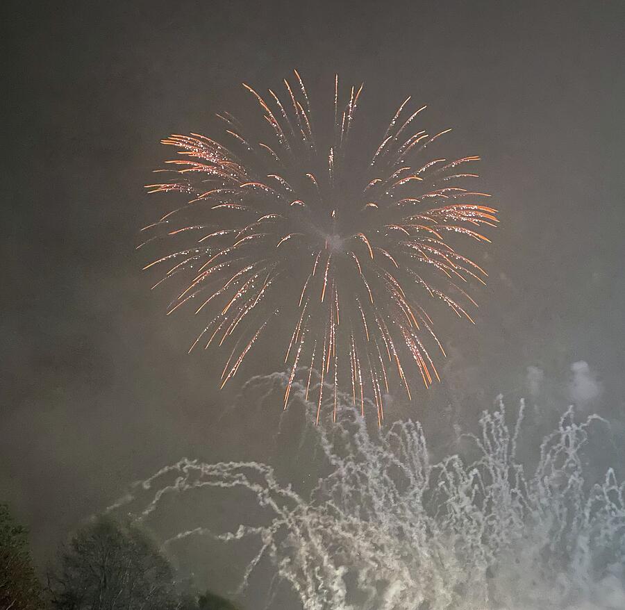 Tree Photograph - Fireworks by Helen Falconer