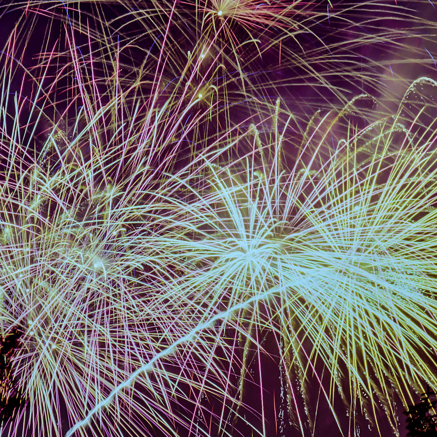 Fireworks  Photograph by HW Kateley