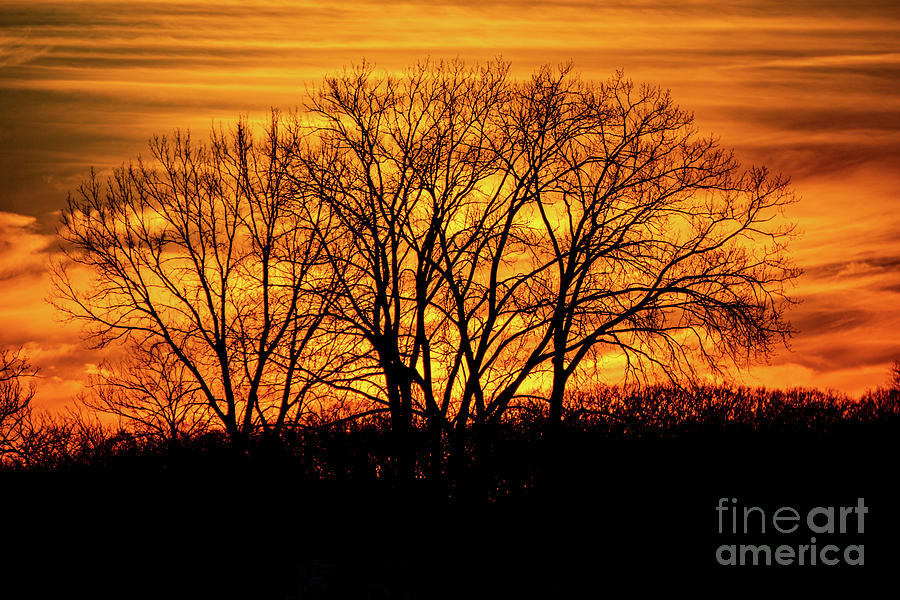 Firey Sunset Photograph By Dan Dunn Fine Art America