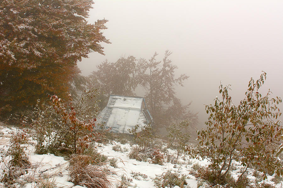 First autumn snow in the mountains Photograph by Yurii Shelest photographer