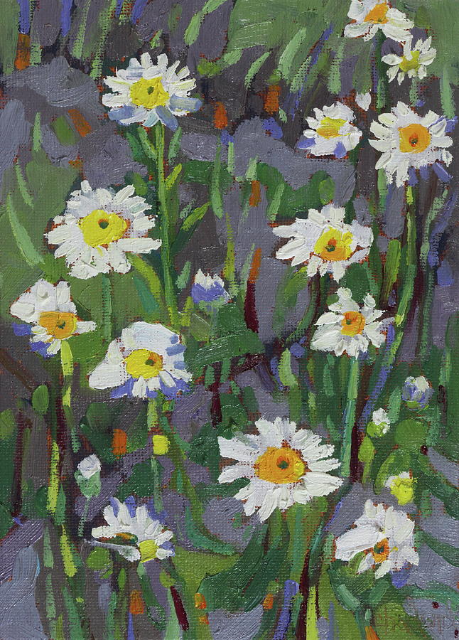 First Daisies of June Painting by Phil Chadwick