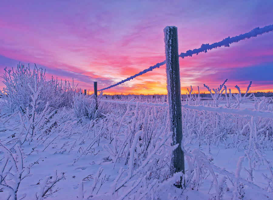 First Days of Winter Photograph by Dan Jurak