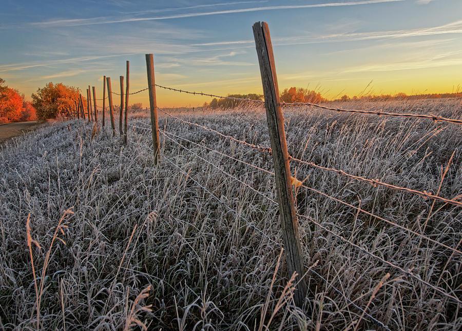 First Frost and Barbed Wire Fence Photograph by Dan Jurak