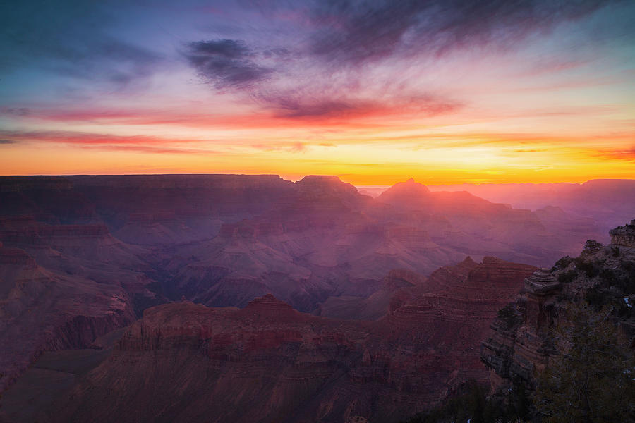 First Light in the Canyon Photograph by Andrew Soundarajan