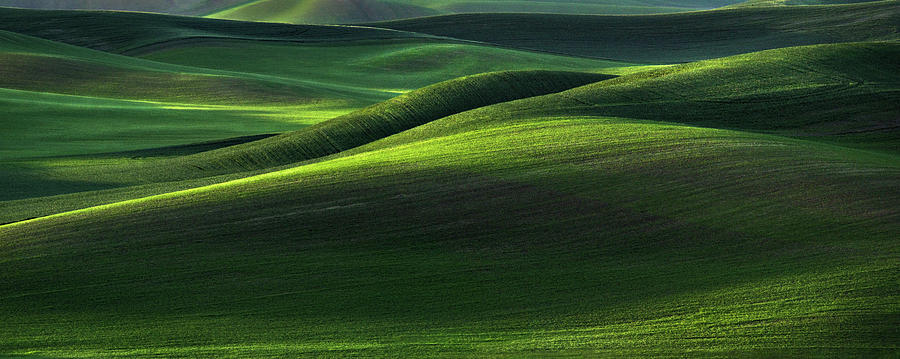 First Light in the Palouse Photograph by Kristen Wilkinson