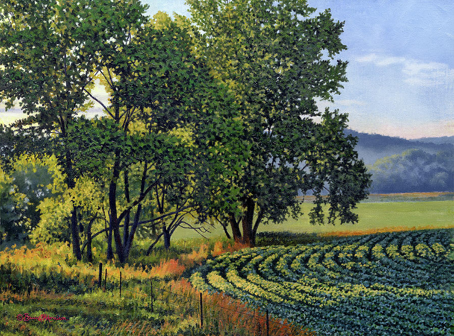 First Light Late Summer Beans Painting by Bruce Morrison