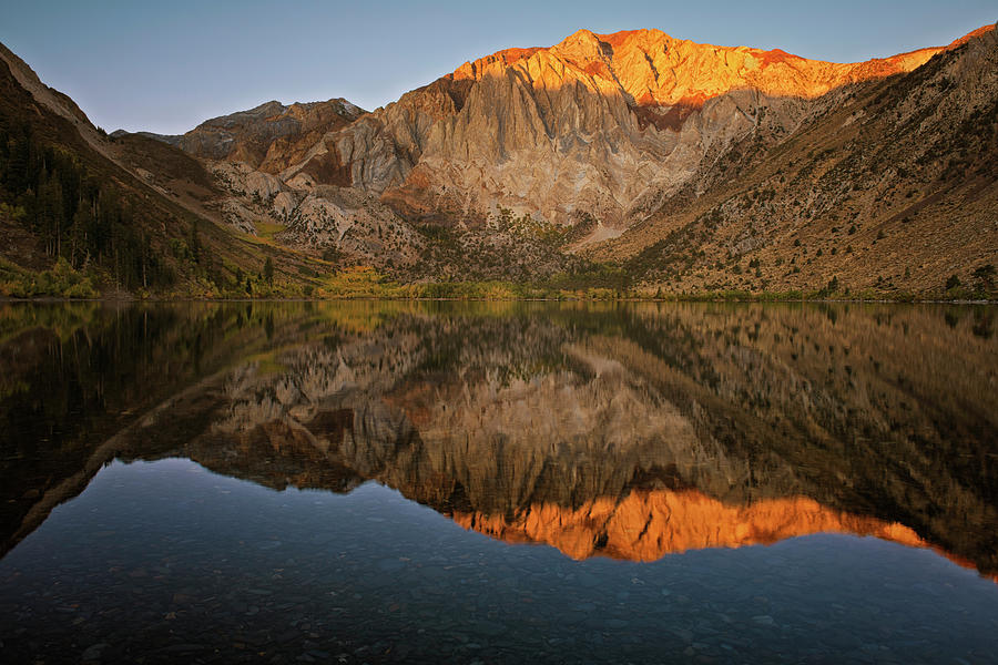 Tree Photograph - First light on the Eastern Sierras at Convict Lake. by Larry Geddis
