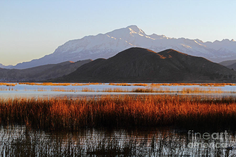 First light on totora reed beds Lake Titicaca Bolivia Photograph by James Brunker