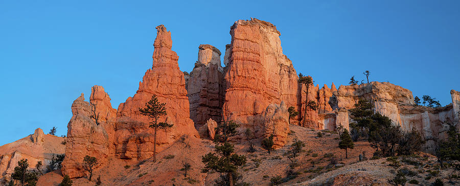 First Light Over Mossy Cave Formations Bryce Canyon Utah Photograph