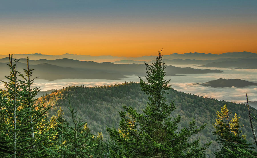 First Light Over The Ridges, Great Smoky Mountains Photograph by Marcy Wielfaert First Light Over The Ridges, Great Smoky Mountains Photograph by Marcy Wielfaert