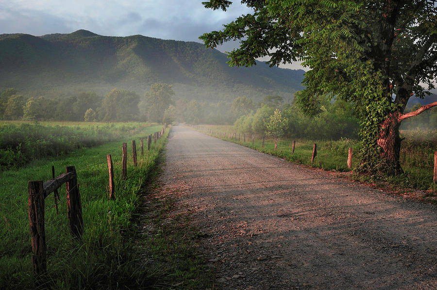 Mountain Photograph - First Light - Sparks Lane at Cades Cove Tennessee by Photos by Thom