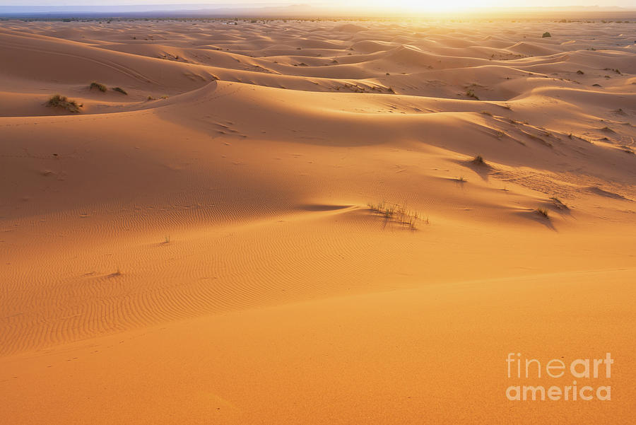 First lights in the desert Photograph by Yuri Santin