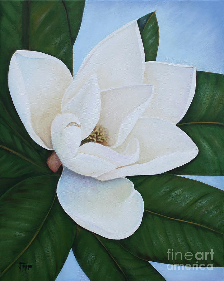 First Magnolia Painting by Jimmie Bartlett