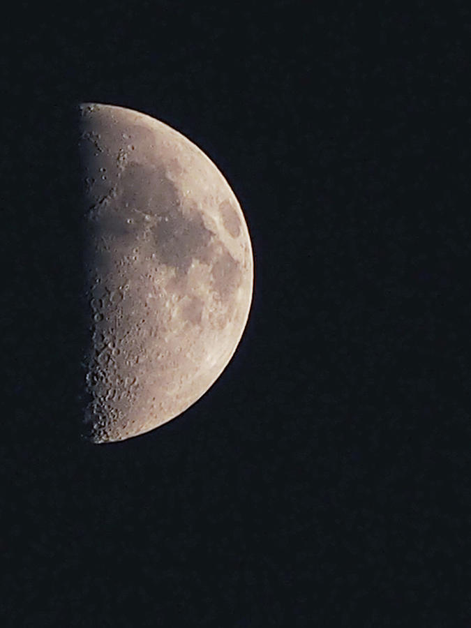 First Quarter Moon Photograph by Grey Coopre