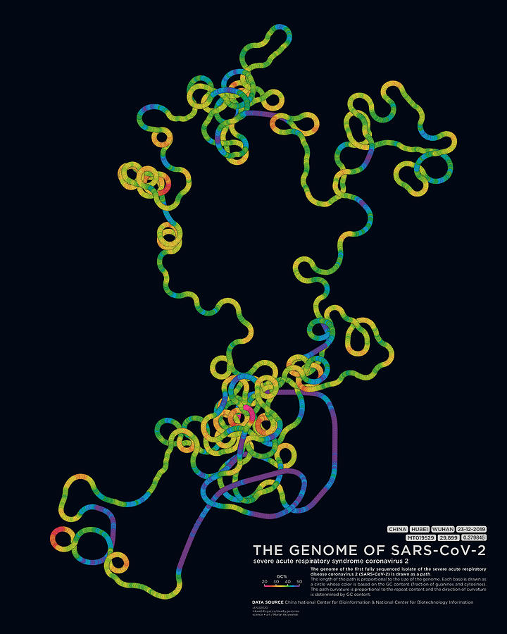 First Sequenced Genome of the Coronavirus Digital Art by Martin Krzywinski