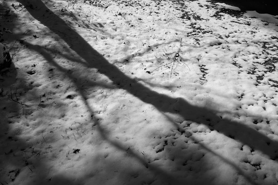 First Snow 12 Photograph by Daniel Brinneman